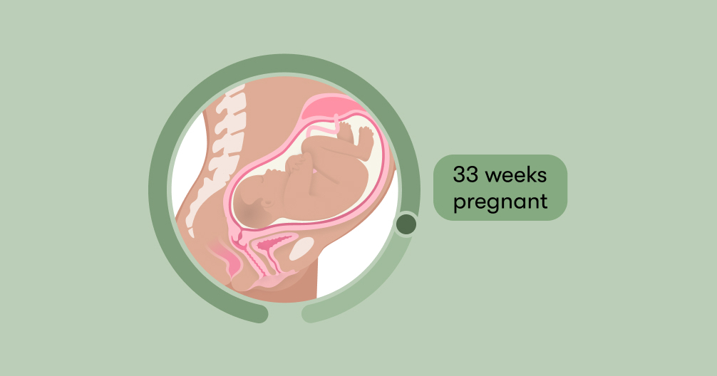 33 weeks of pregnancy baby position in womb